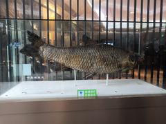 -得尔乐大酒店(南塘店)