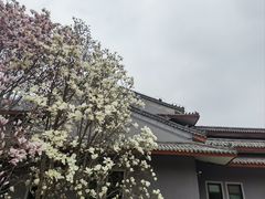 -北京九华山庄会展酒店