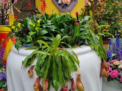 -广州文化公园
