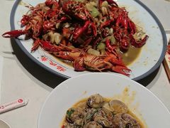 -杨氏青龙虾·羊蝎子(托乐嘉店)