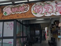 -田园东方蜜桃村的田野营地