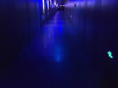 -白鹤梁水下博物馆