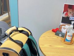 -荔康动物医院(康王北路店)