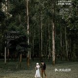 冬季小仙女必拍🌲法式森系婚纱照浪漫整个季节/成都婚纱照