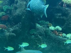 -鸿通城购物中心