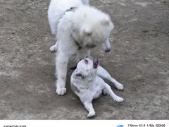 -首开·龙湖成都西宸天街
