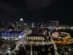 -新加坡瑞士史丹福酒店