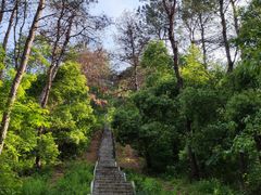-青龙山国家森林公园