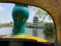 -桂湖森林公园