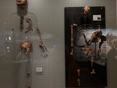 -辽宁古生物博物馆