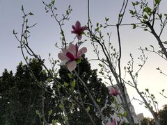 -经纬广场