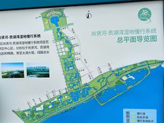 -贡湖湾湿地公园