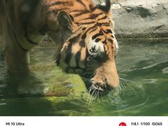 -深圳野生动物园