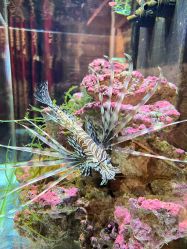 -Zoolung Zoolung动物主题公园(海信广场店)