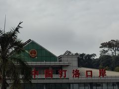 -打洛口岸