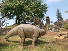 -自贡恐龙博物馆