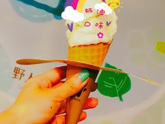 -野人牧坊Gelato(天津南开大悦城店)