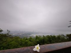 -紫金山天文台