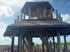 -北海金海湾红树林生态旅游区