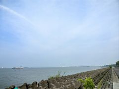 -上海滨江森林公园
