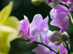 -白鹭湾湿地公园