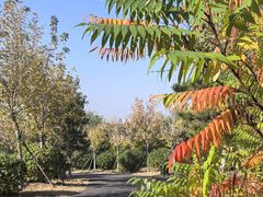 -红山国家森林公园