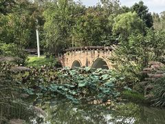 -白鹭湾湿地公园