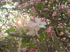 -元大都城垣遗址公园