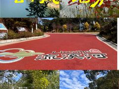 -广州市流溪河国家森林公园