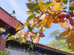 -北京友谊宾馆·俄罗斯餐厅