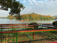 -西湖外事游船(花港观鱼码头)