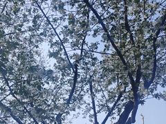 -堤角公园