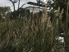 -驿舍·民國老营房院子私房菜(科学会堂店)