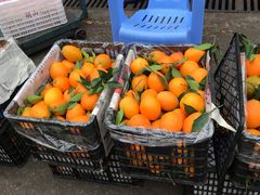 -菜园坝水果市场