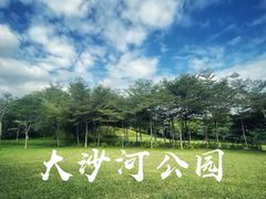 -大沙河公园