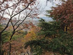 -信号山公园