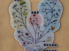 -郑州植物园