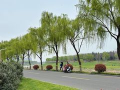 -洨河生态公园