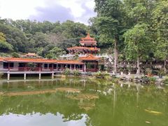 -深圳仙湖植物园