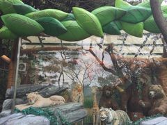 -济州岛泰迪熊博物馆