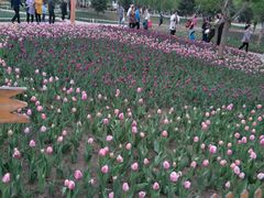 景点-长春公园(普阳街道)