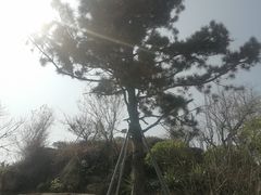 -乌山风景区