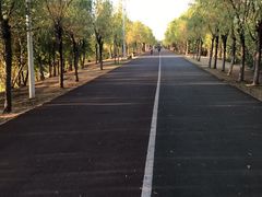 -艾溪湖湿地公园