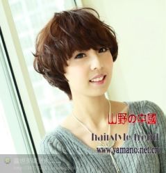 psb897987-艾丽丝发艺工作室