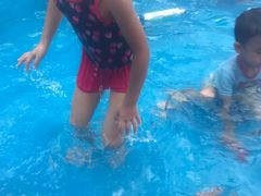 -美的鹭湖探索王国