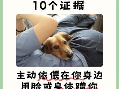 -御宝贝·A梦猫科宠物医院(国际猫友好医院)