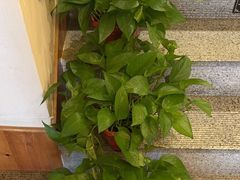 -鸥迪足道(全球连锁 新世界示范店)