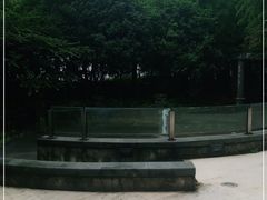 -上海外滩茂悦大酒店