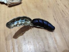 -鲜菌江湖正宗野生菌火锅