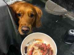 -鱼桥巷·美学川菜